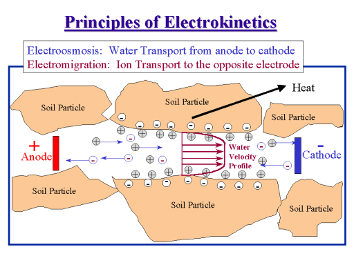 Principles of Electrokinetics